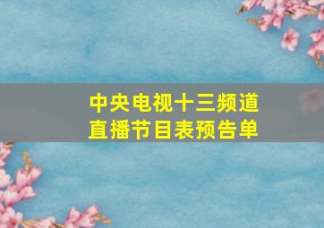 中央电视十三频道直播节目表预告单