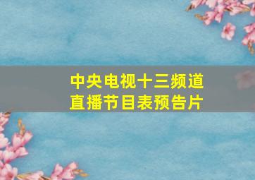 中央电视十三频道直播节目表预告片