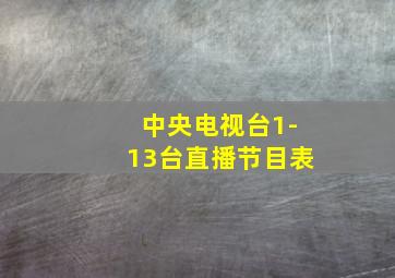 中央电视台1-13台直播节目表