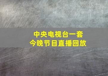 中央电视台一套今晚节目直播回放