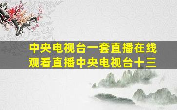 中央电视台一套直播在线观看直播中央电视台十三