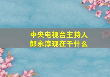 中央电视台主持人郎永淳现在干什么