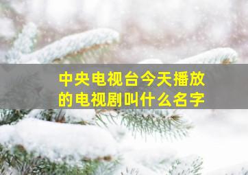 中央电视台今天播放的电视剧叫什么名字