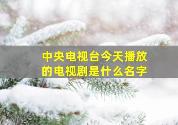 中央电视台今天播放的电视剧是什么名字