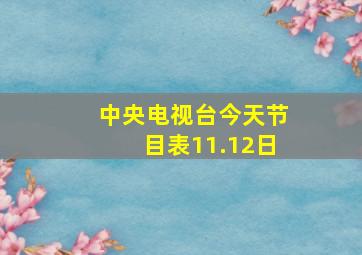 中央电视台今天节目表11.12日