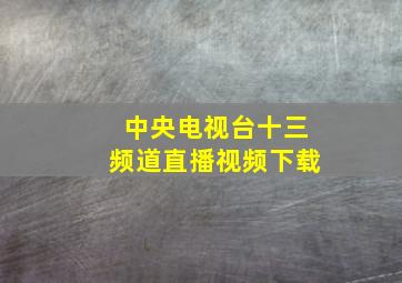 中央电视台十三频道直播视频下载