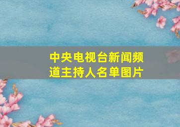 中央电视台新闻频道主持人名单图片