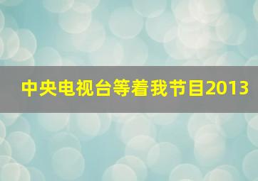 中央电视台等着我节目2013