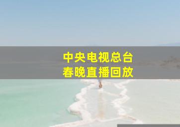 中央电视总台春晚直播回放