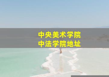 中央美术学院中法学院地址