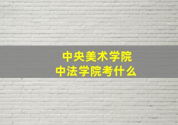 中央美术学院中法学院考什么