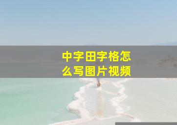 中字田字格怎么写图片视频