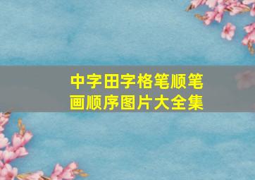 中字田字格笔顺笔画顺序图片大全集