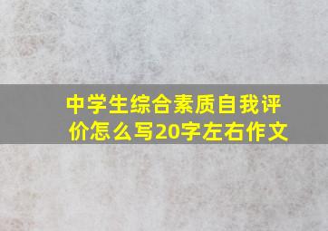 中学生综合素质自我评价怎么写20字左右作文