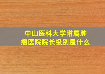 中山医科大学附属肿瘤医院院长级别是什么