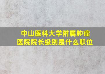 中山医科大学附属肿瘤医院院长级别是什么职位