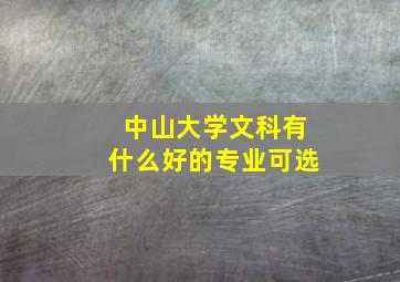 中山大学文科有什么好的专业可选