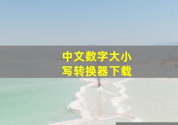 中文数字大小写转换器下载