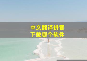 中文翻译拼音下载哪个软件