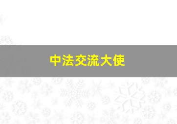 中法交流大使