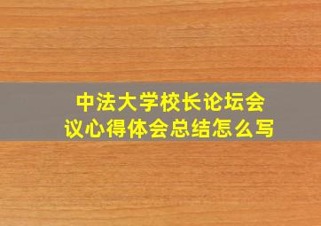 中法大学校长论坛会议心得体会总结怎么写