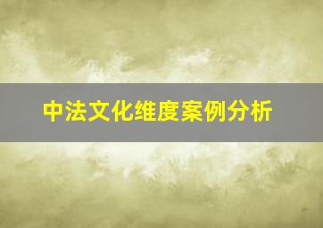 中法文化维度案例分析