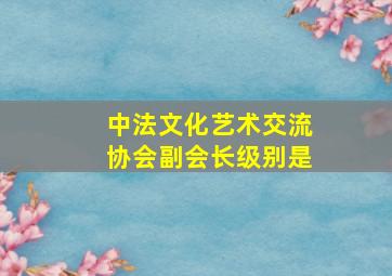 中法文化艺术交流协会副会长级别是