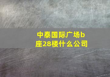 中泰国际广场b座28楼什么公司