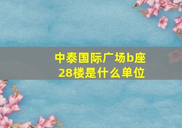 中泰国际广场b座28楼是什么单位