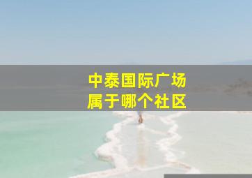 中泰国际广场属于哪个社区