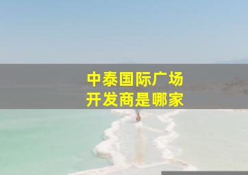 中泰国际广场开发商是哪家