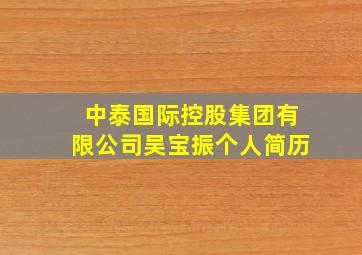 中泰国际控股集团有限公司吴宝振个人简历