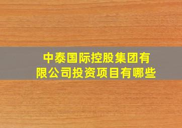 中泰国际控股集团有限公司投资项目有哪些