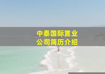 中泰国际置业公司简历介绍