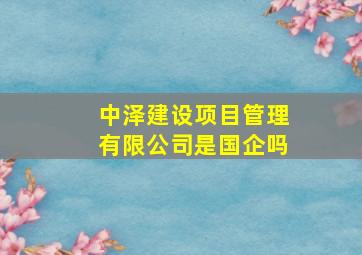 中泽建设项目管理有限公司是国企吗