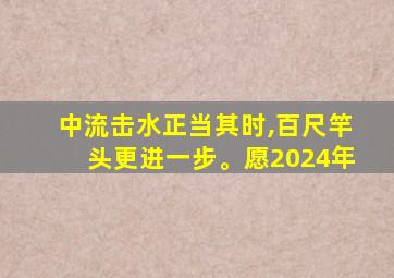 中流击水正当其时,百尺竿头更进一步。愿2024年