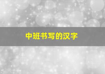 中班书写的汉字