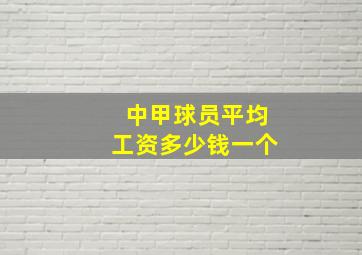 中甲球员平均工资多少钱一个