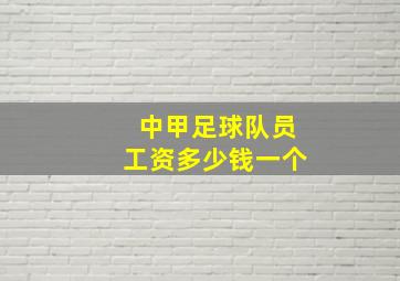 中甲足球队员工资多少钱一个