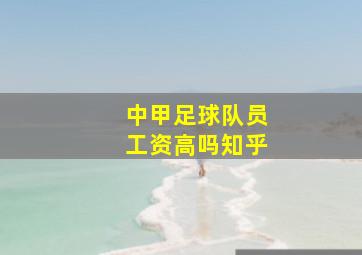 中甲足球队员工资高吗知乎