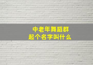 中老年舞蹈群起个名字叫什么