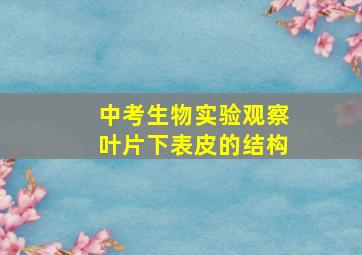 中考生物实验观察叶片下表皮的结构