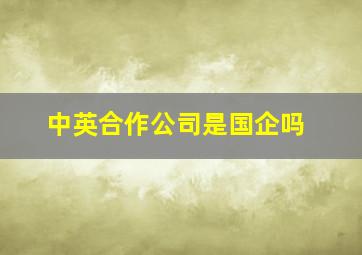 中英合作公司是国企吗