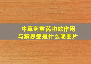 中草药黄芪功效作用与禁忌症是什么呢图片