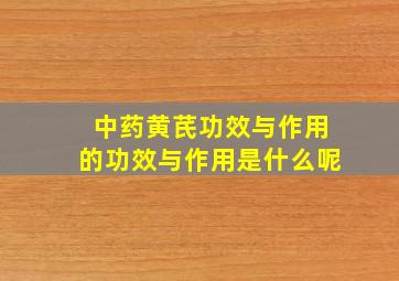 中药黄芪功效与作用的功效与作用是什么呢