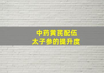 中药黄芪配伍太子参的提升度