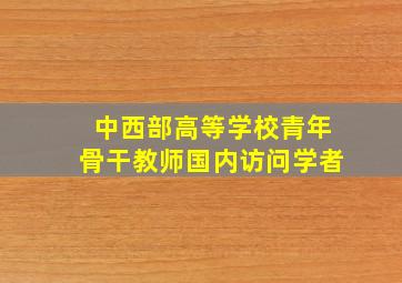 中西部高等学校青年骨干教师国内访问学者