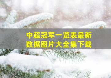 中超冠军一览表最新数据图片大全集下载