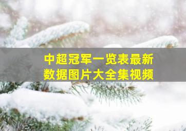 中超冠军一览表最新数据图片大全集视频