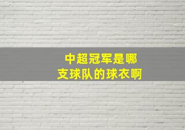 中超冠军是哪支球队的球衣啊